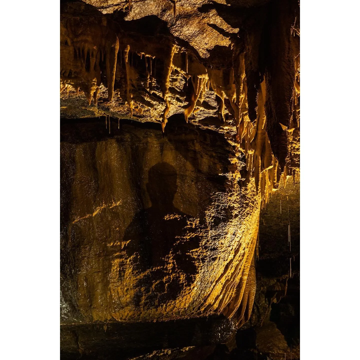 Northern Ireland pt 3
Shadows and Reflections

Marble Arch caves near Enniskillen
Earlier in the day we visited Enniskillen, to see where my grandparents met and were married, and the house my mum lived in for the first few years of her life

#northe