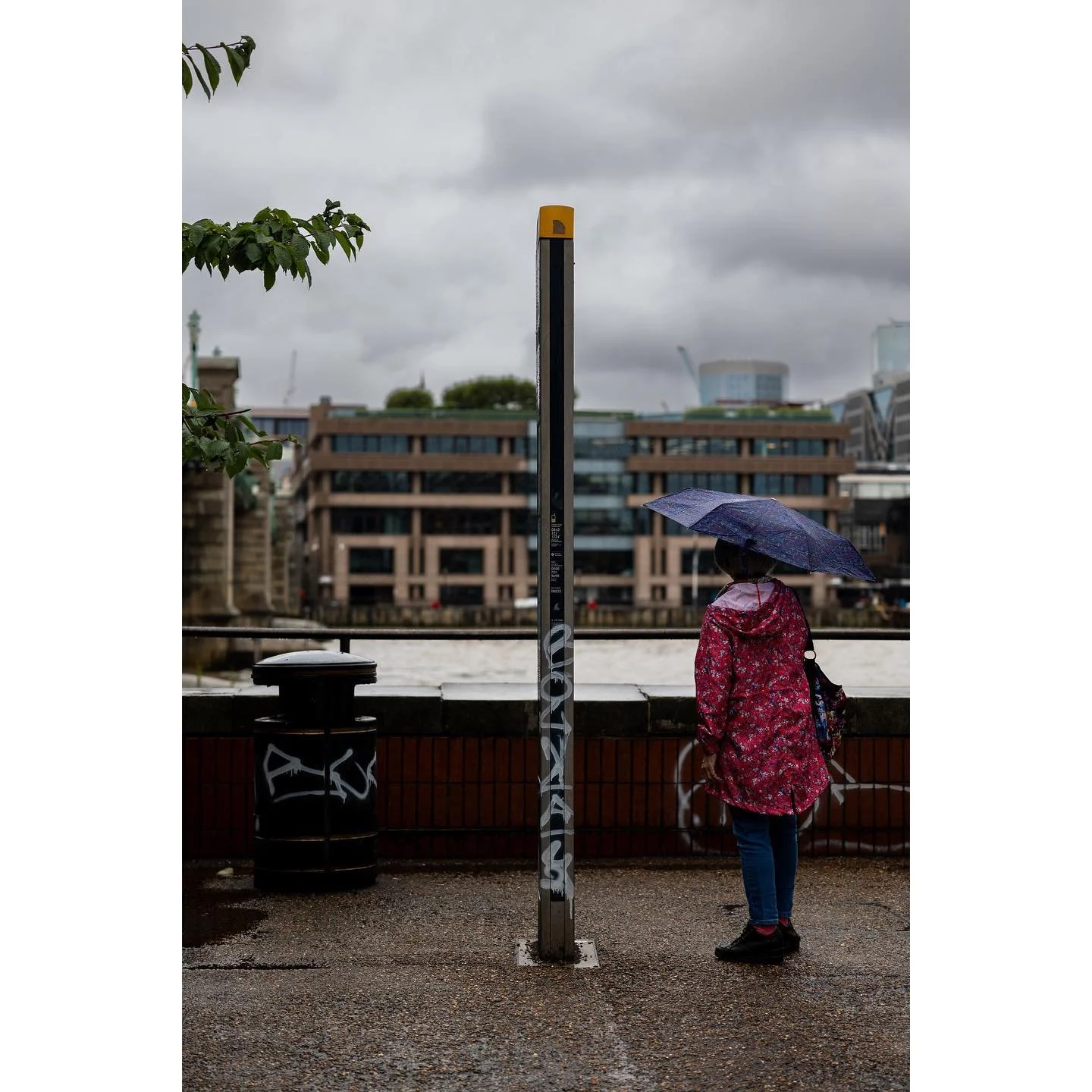 A wet Wednesday on the south bank

#rain #london #tatemodern #stpaulscathedral #towerbridge #photography #canon #mirrorless #eosr6 #longexposure #reflections