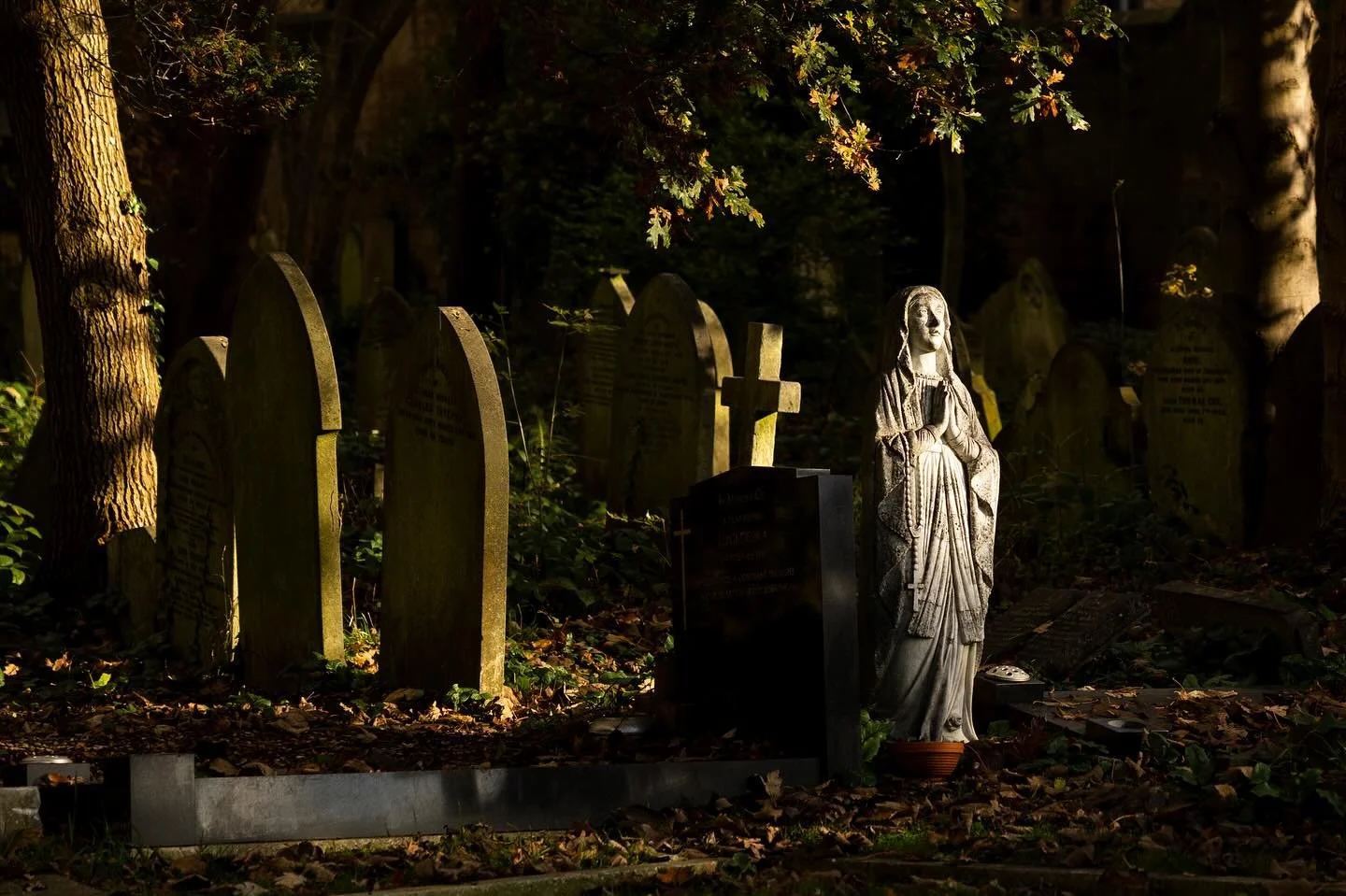Highgate Cemetery, November 2023

#photography #mirrorless #canon #r6 #cemetery #autumn