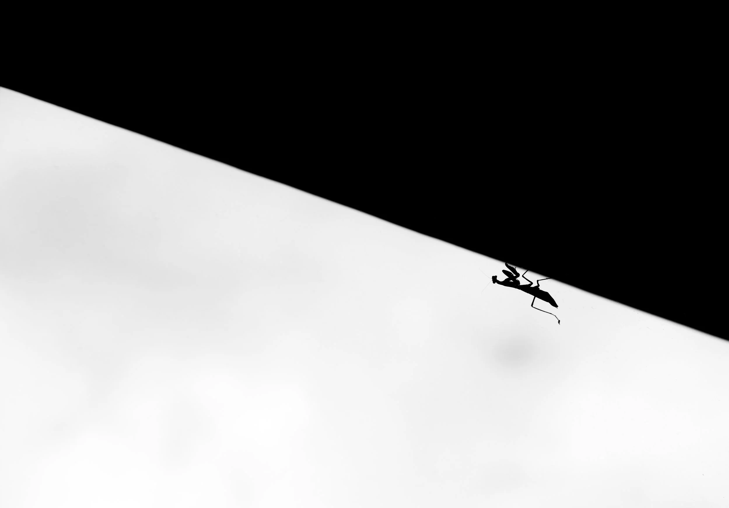 L1002979.jpg