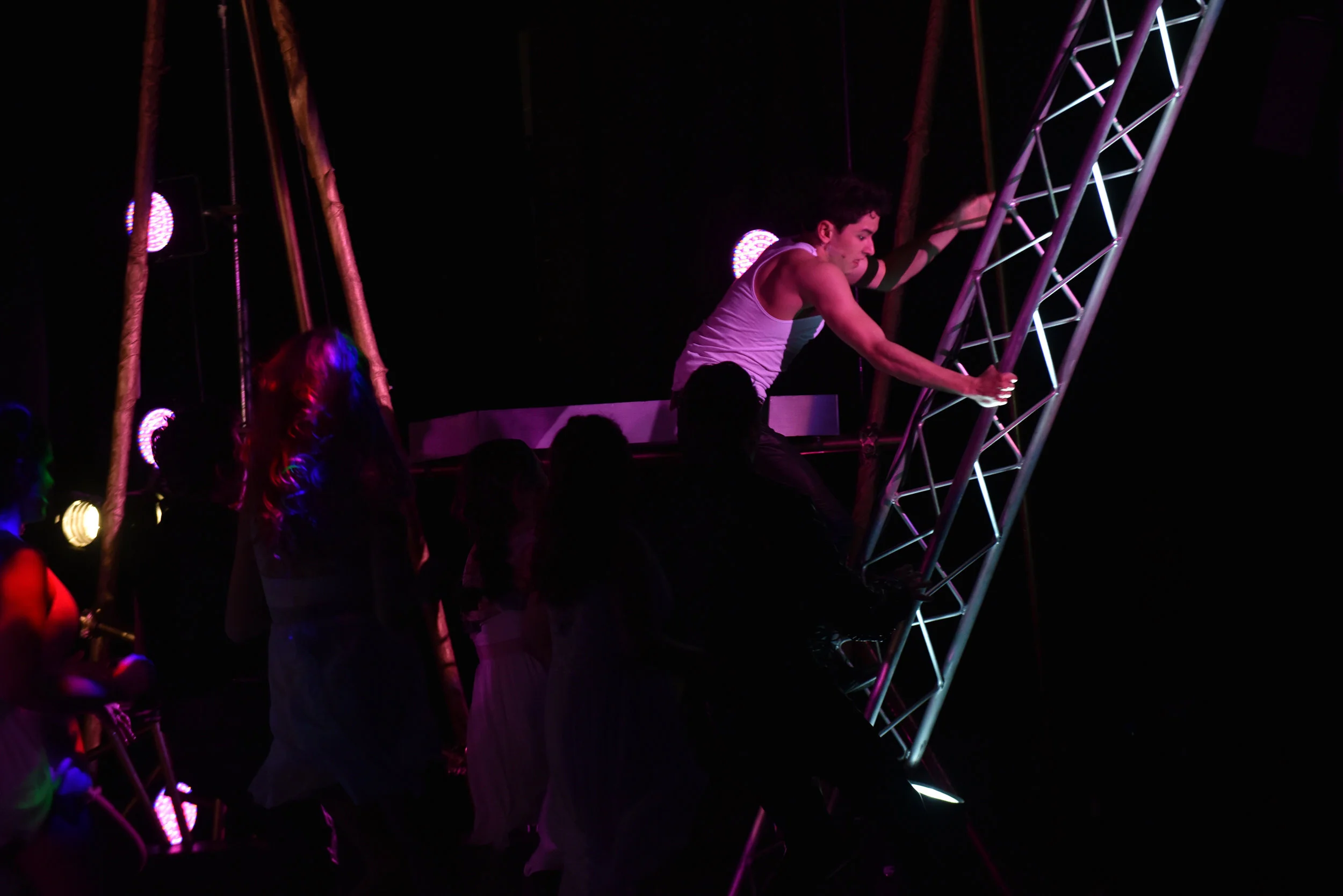 Pippin-8541.jpg