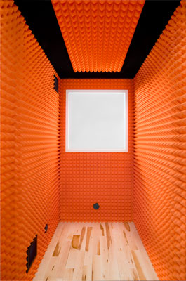 Orange Studio Foam Interior