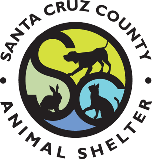 Santa Cruz County Animal Shelter Foundation