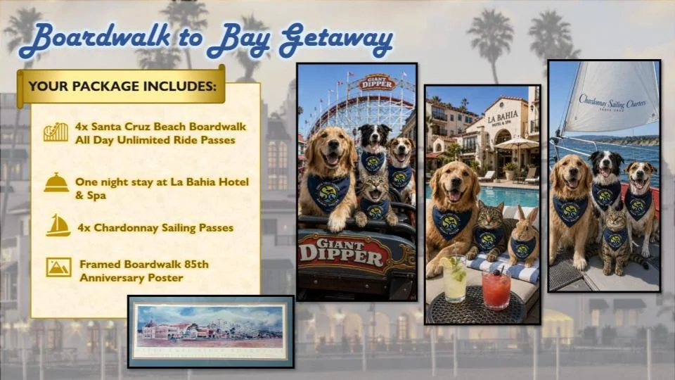 BoardwalkToBay.jpg