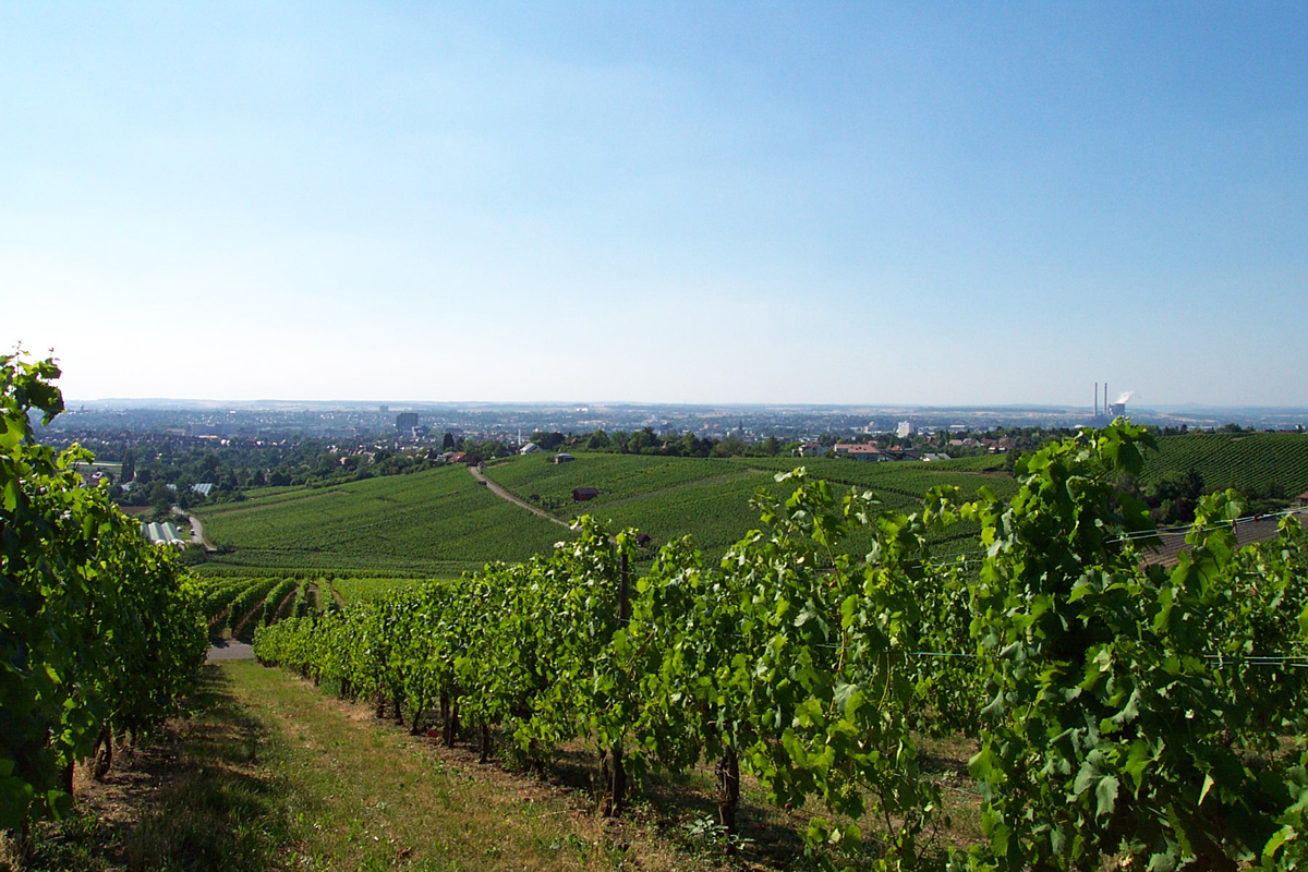 015-04.jpg