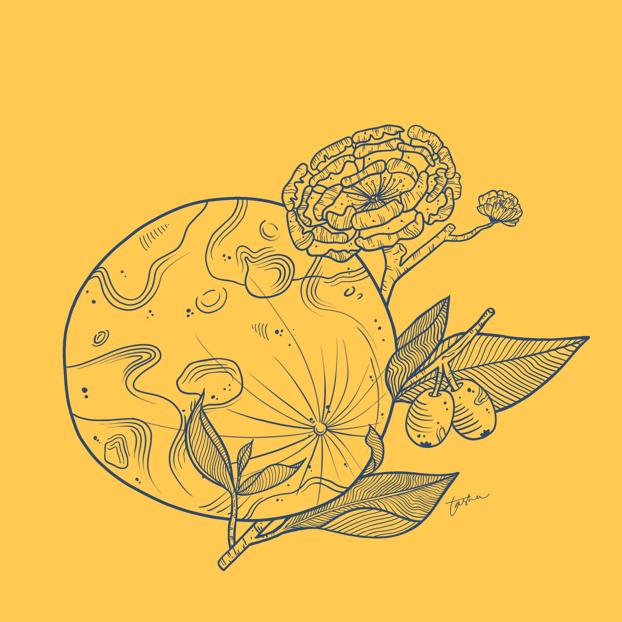 moon.jpg