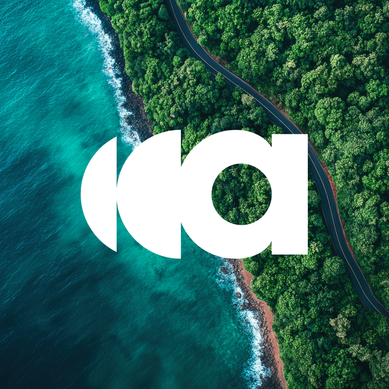 A-Life Visual Identity