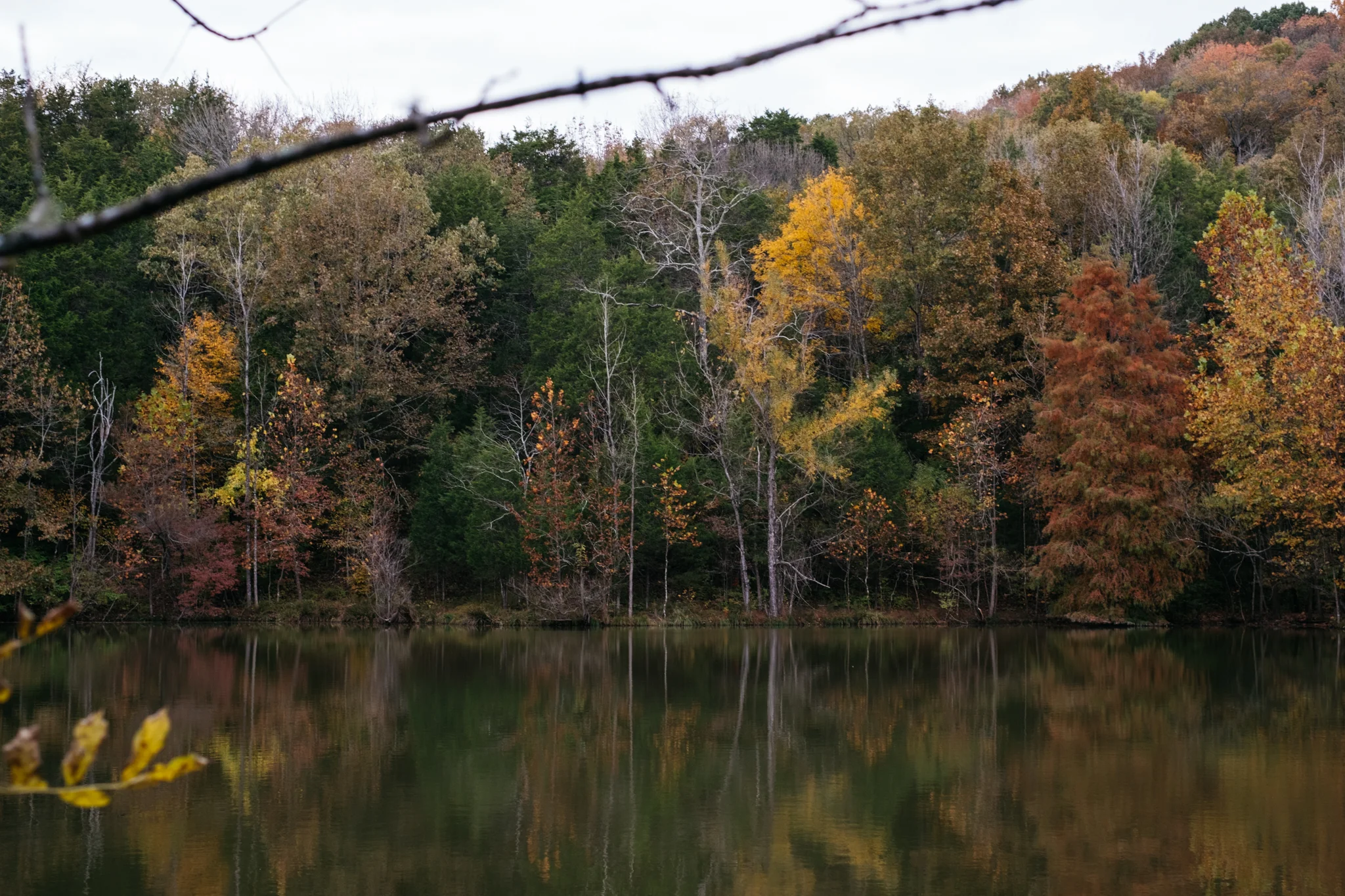 DSCF6413.jpg