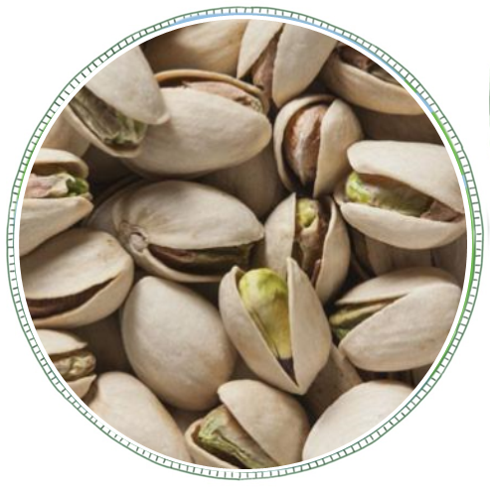 bulk-roasted-and-salted-pistachios.png