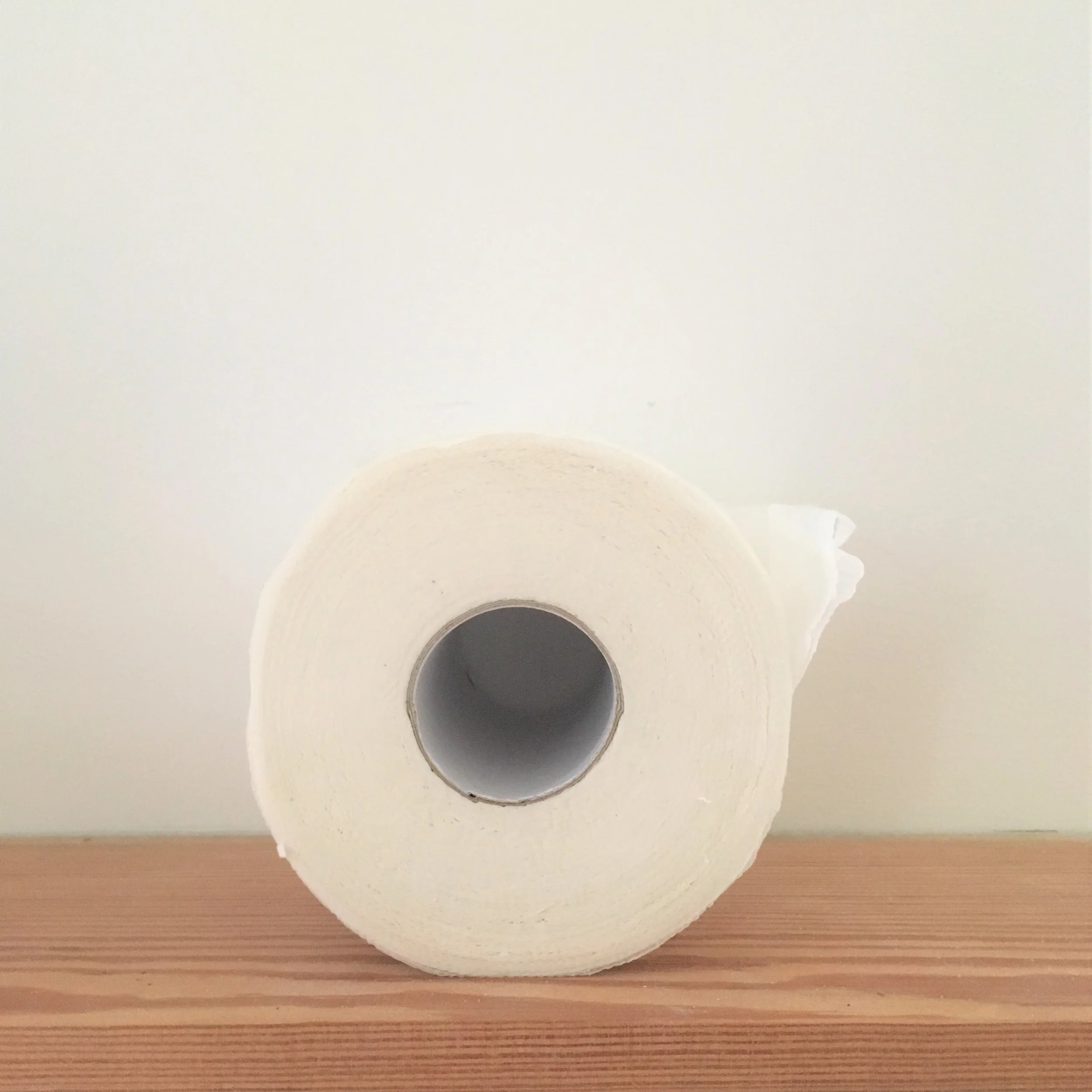 Plastic Free Loo Roll