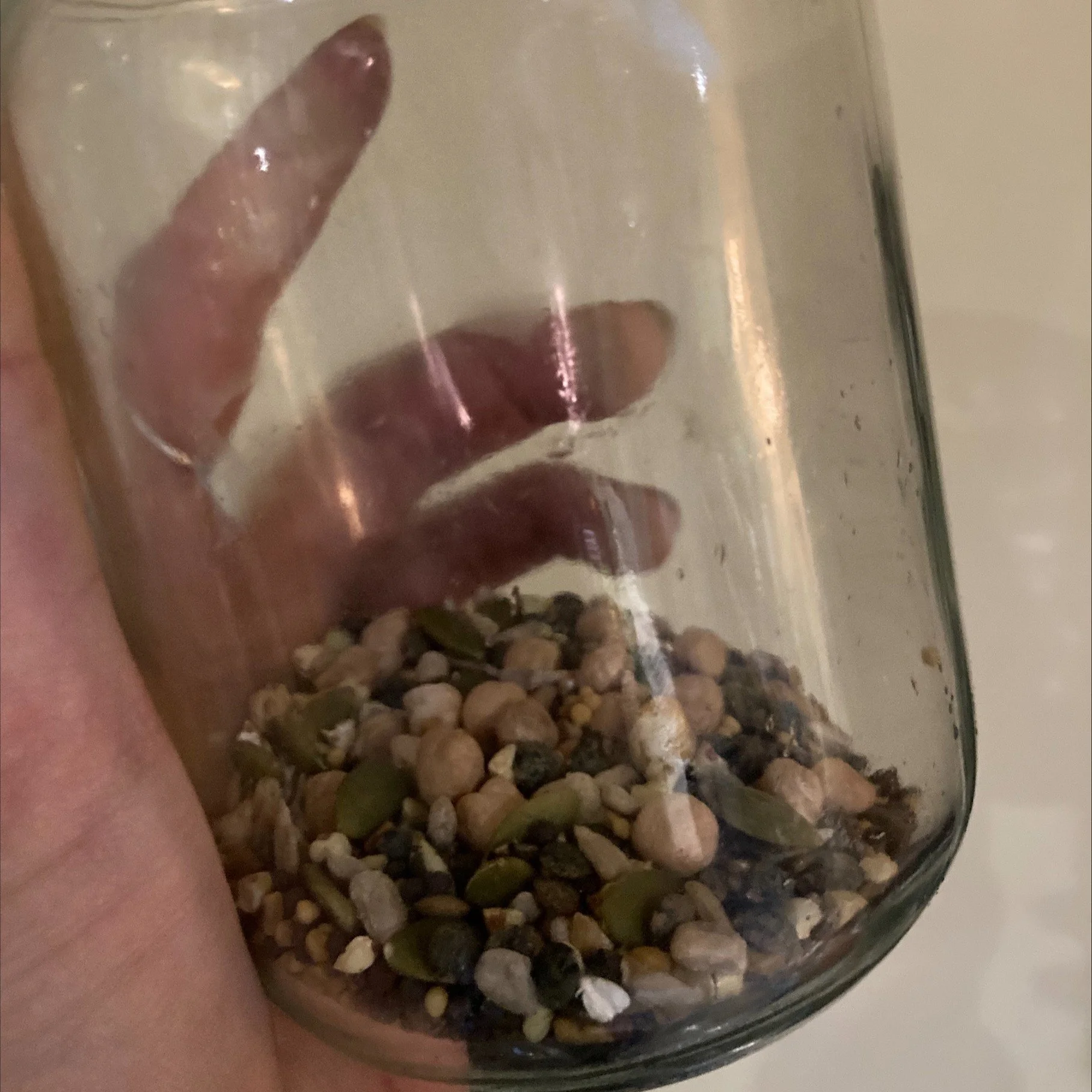 diy sprouts
