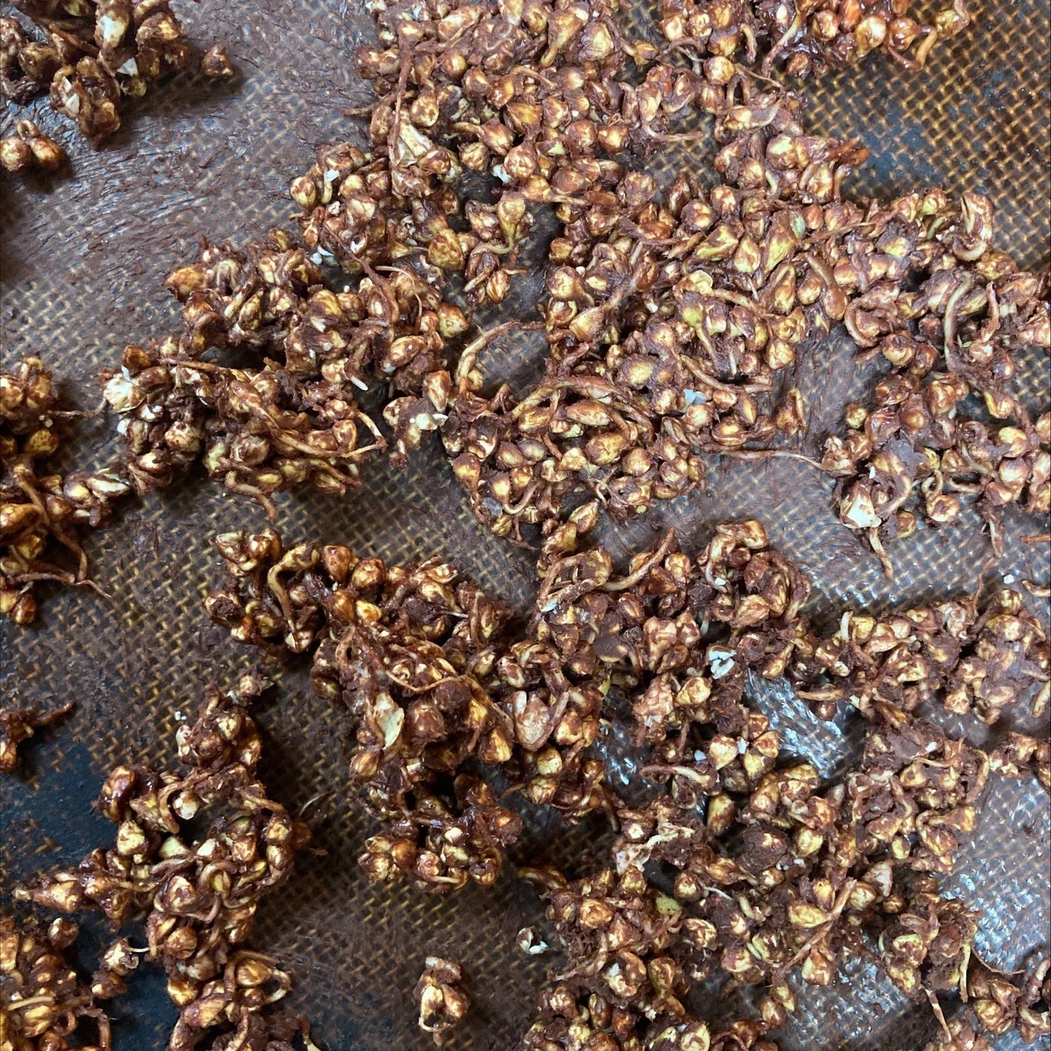 sprouted cocoa pops