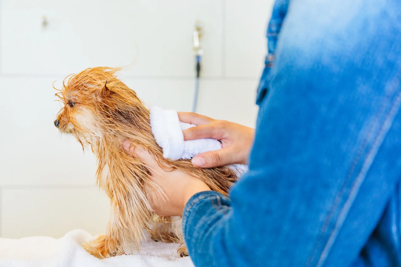 Enjoy a day at the beach, then enjoy a day at the spa!