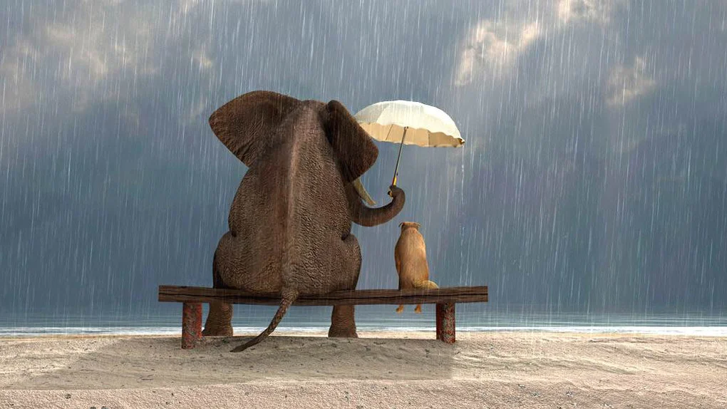 Exercising Your Responsibility