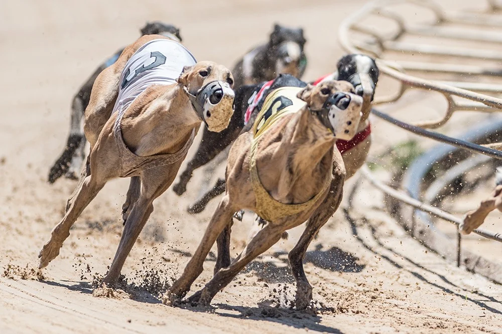 The Race to Gomorrah
