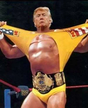 The Fighter