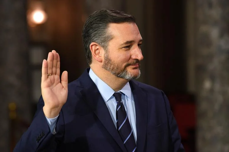 RINO Ted