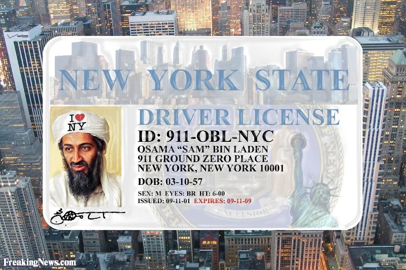License to Steal Elections