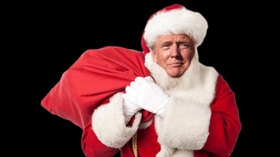 Donald Kringle