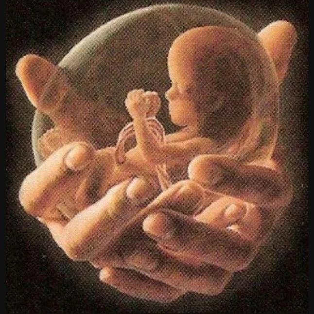 Generation Life