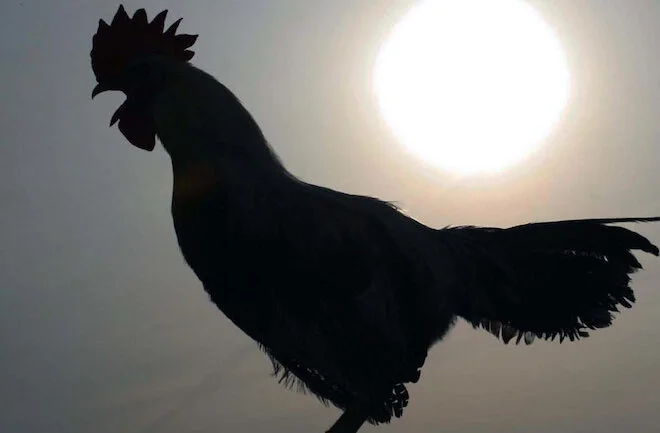 Faithlessness Foreshadowed