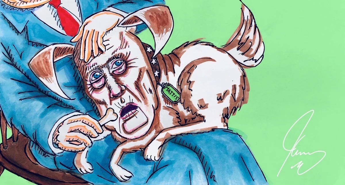 Lapdog Mattis