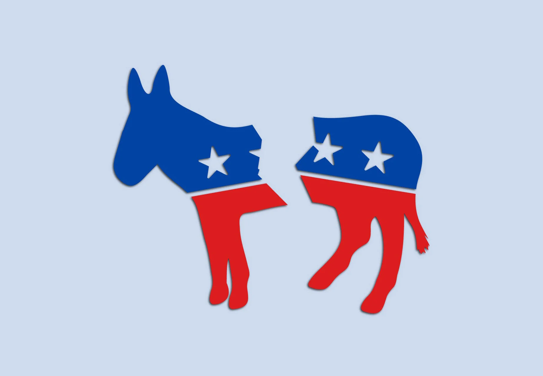 Divided Democrats