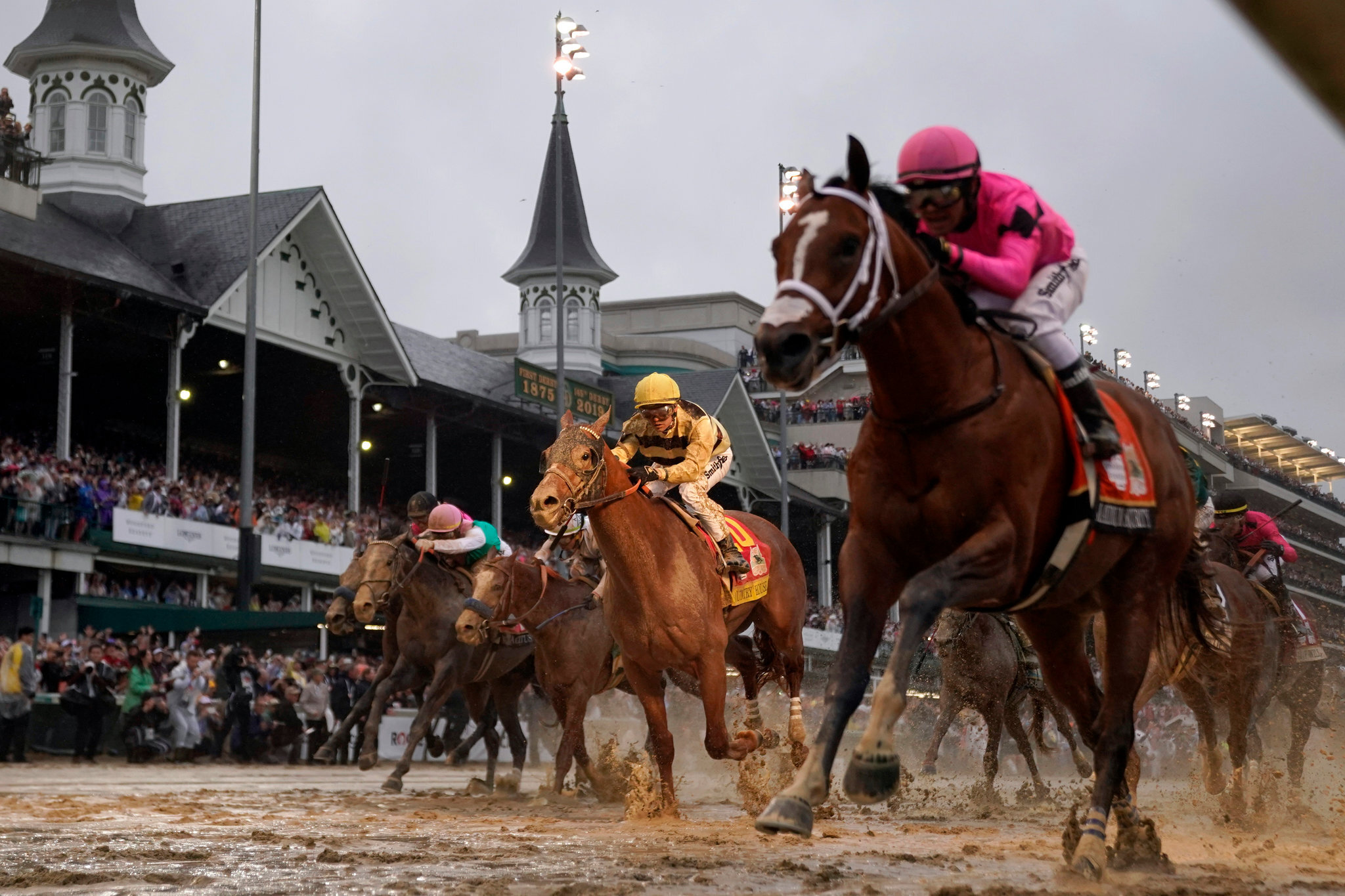 Horse In the Race