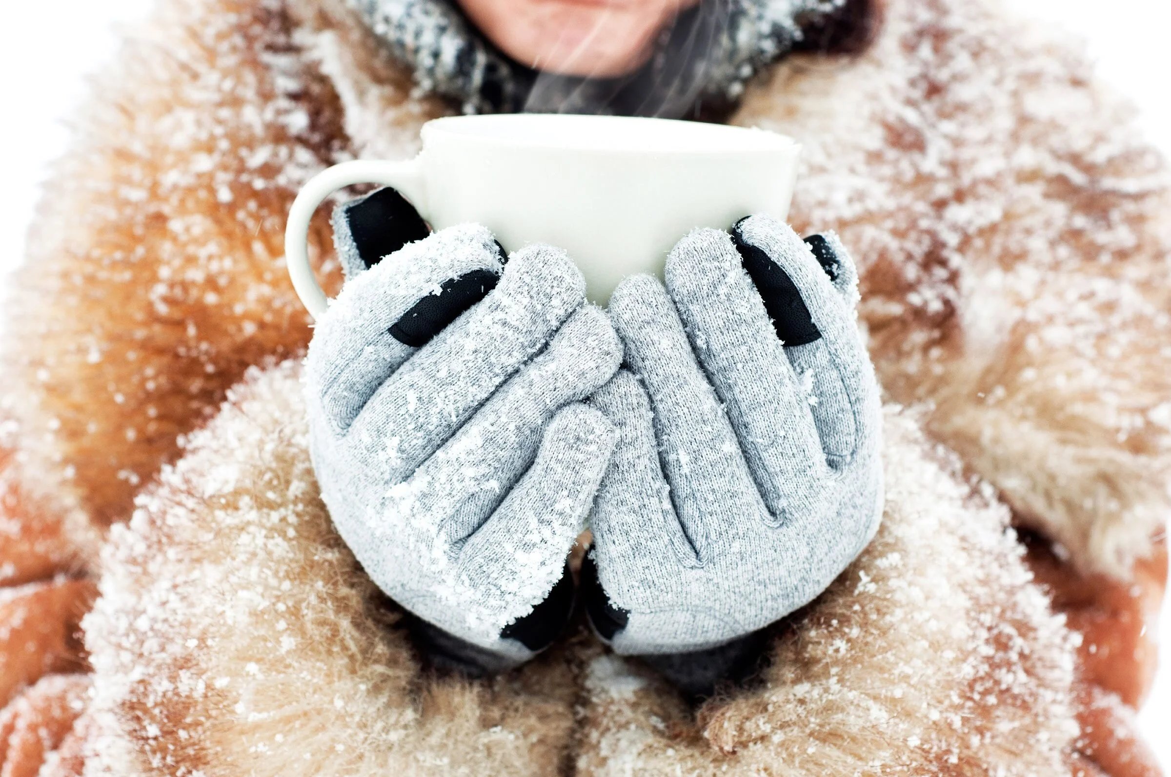 Cafe Hypothermia