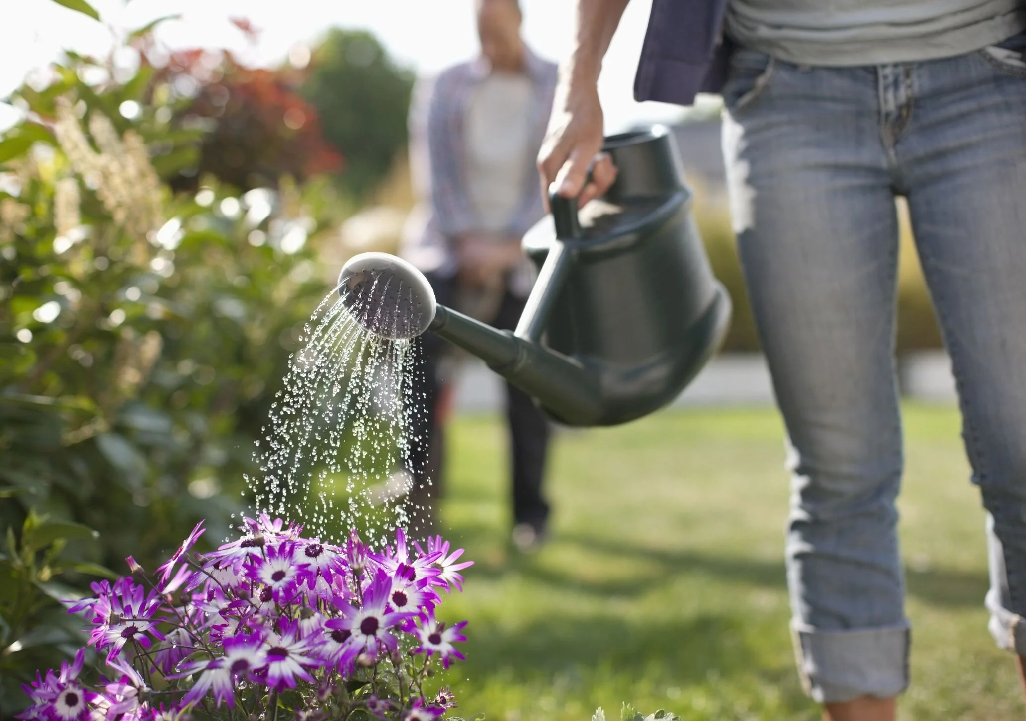 Green Thumb, Sharper Mind