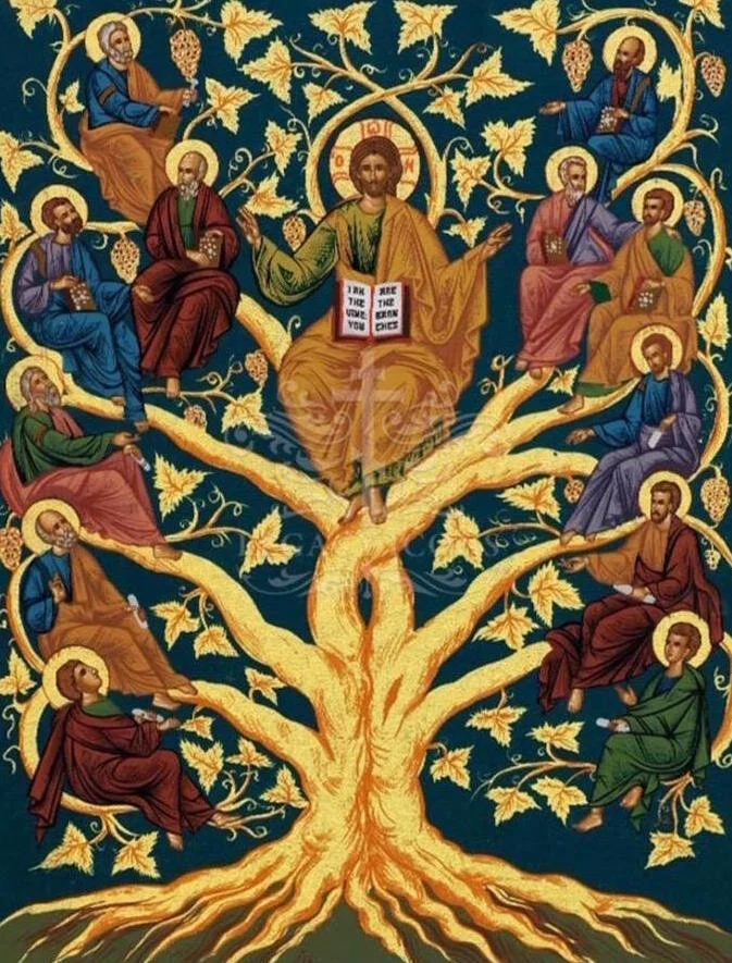 I Am The Vine