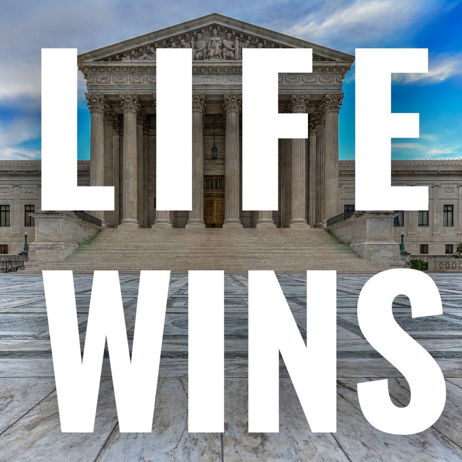 Life Wins