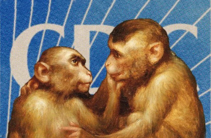 The CDC's Woke Insanity