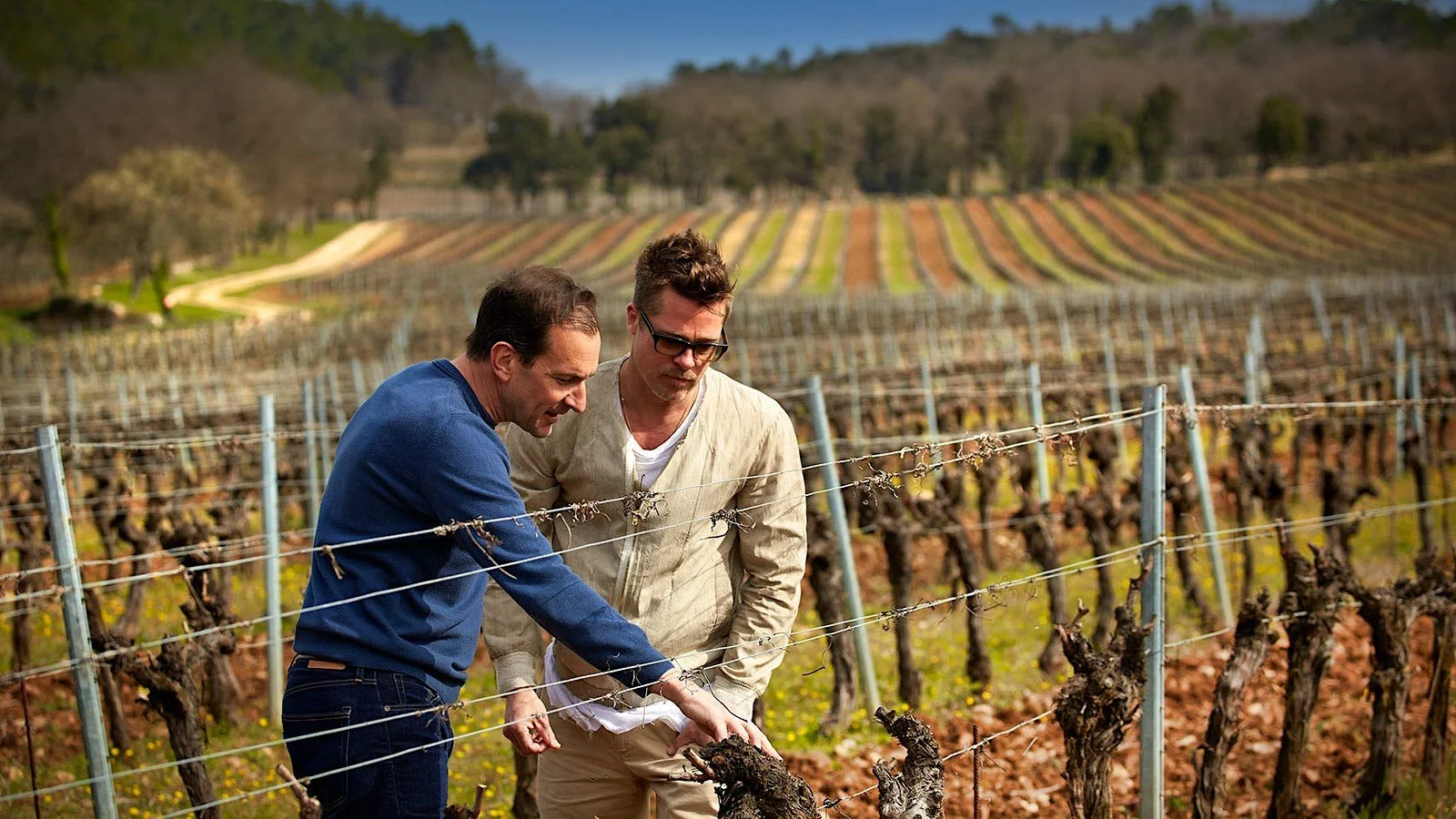 Brad's Woke Vineyard