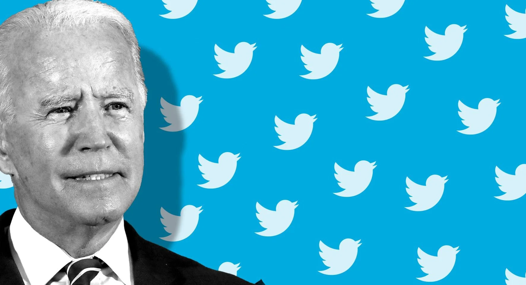 Birdbrain Biden Triggered
