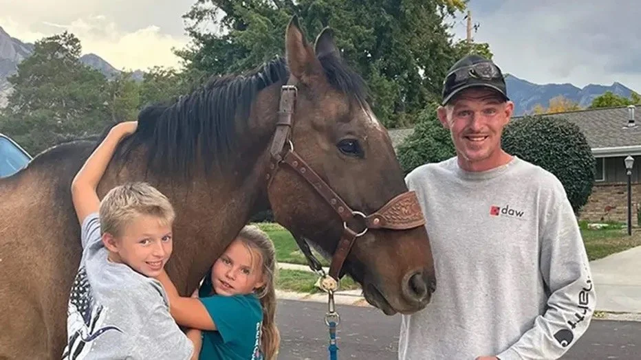 The Prodigal Stallion