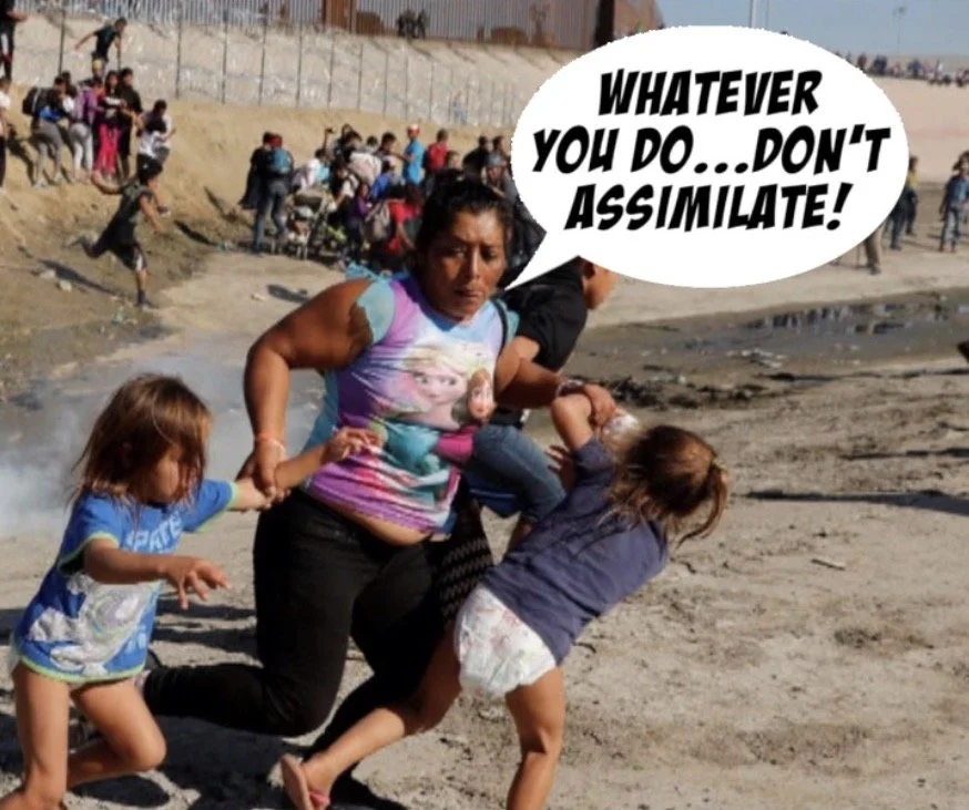 Open Borders Destroying America