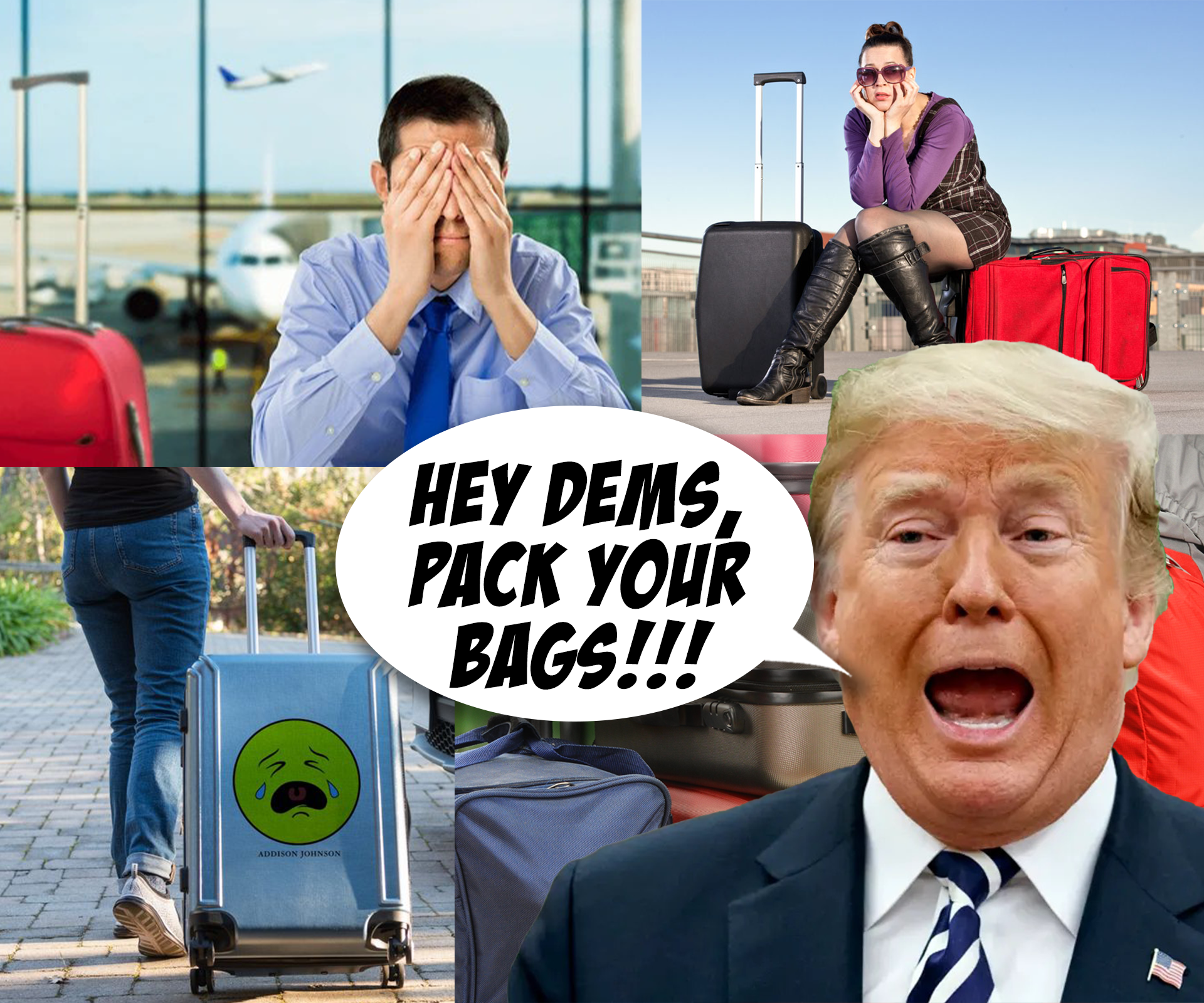 Trump Triggers Lunatic Libs