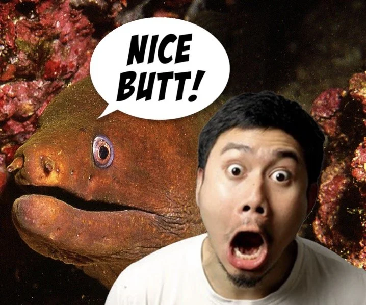 Eel Swims Up Man’s Butt