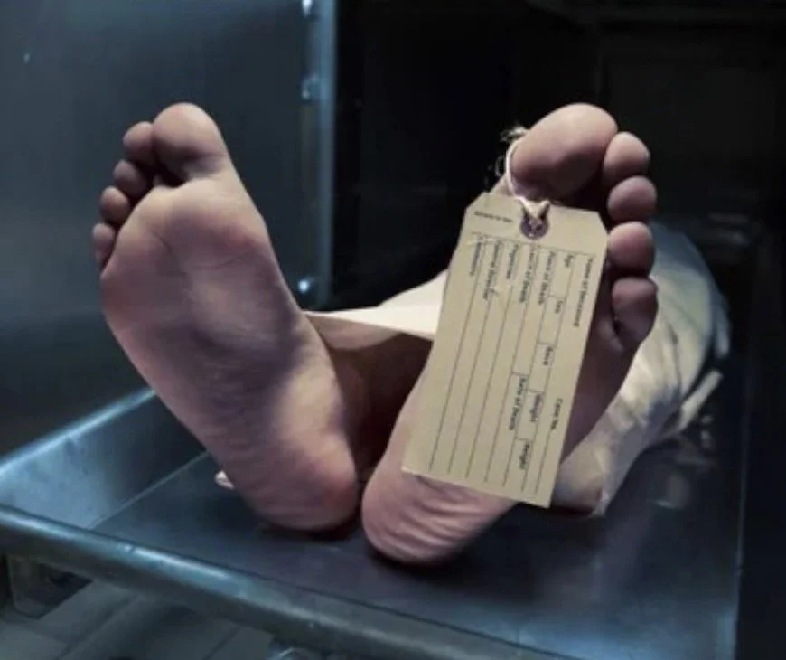  Big Pharma Six Feet Under