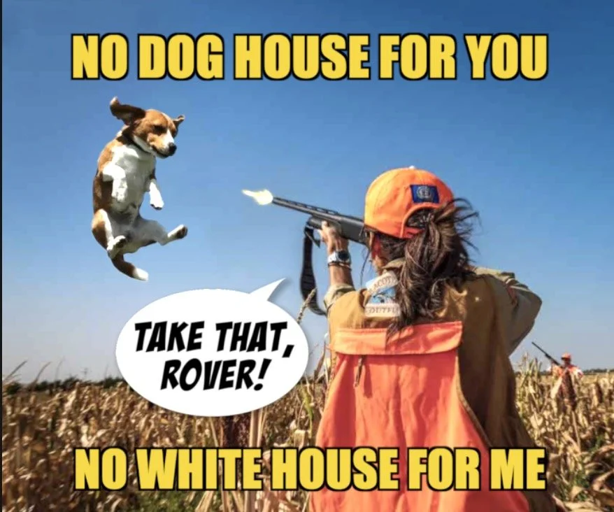 Shooting Your Dog…and Foot