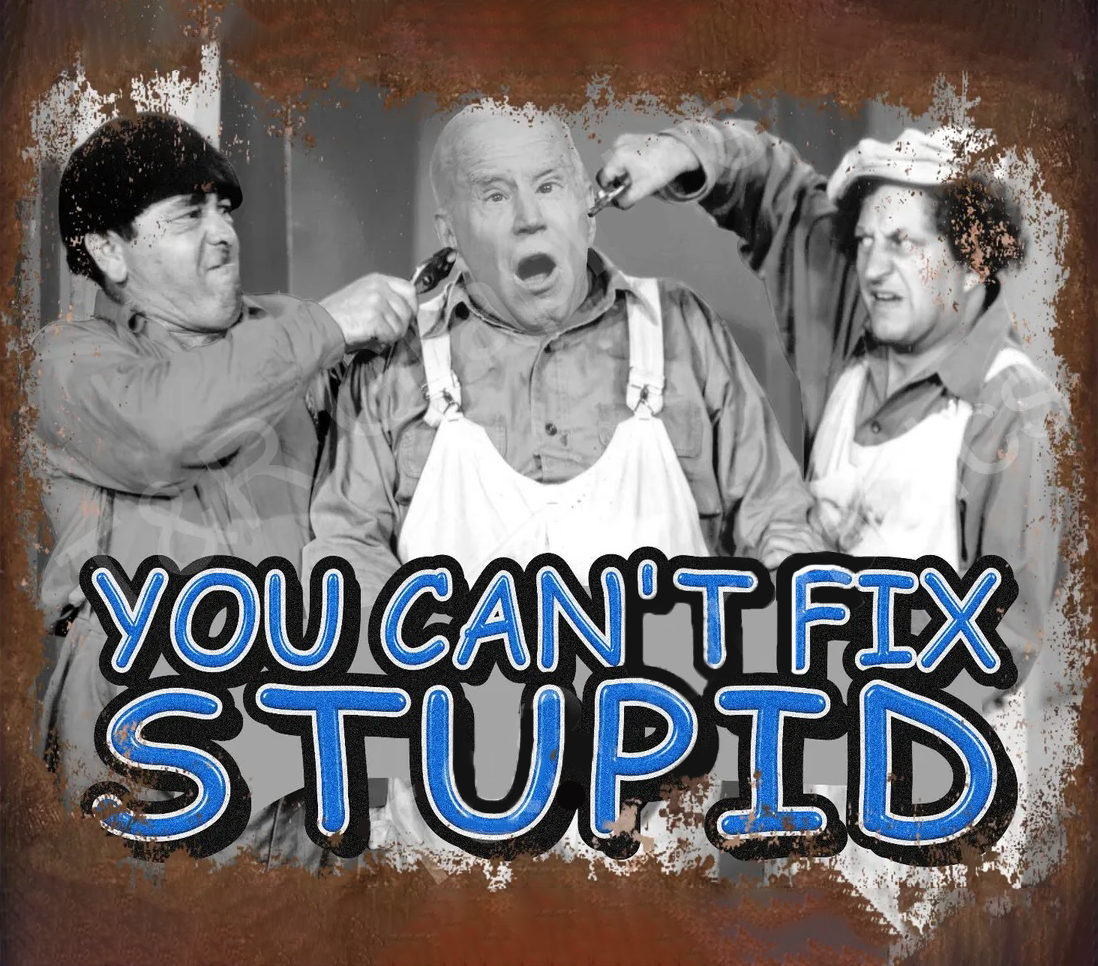 Birdbrain Biden Ruining America