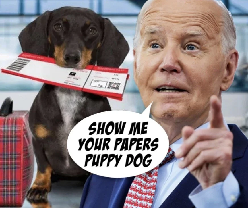 Dog Days Of Summer Politics