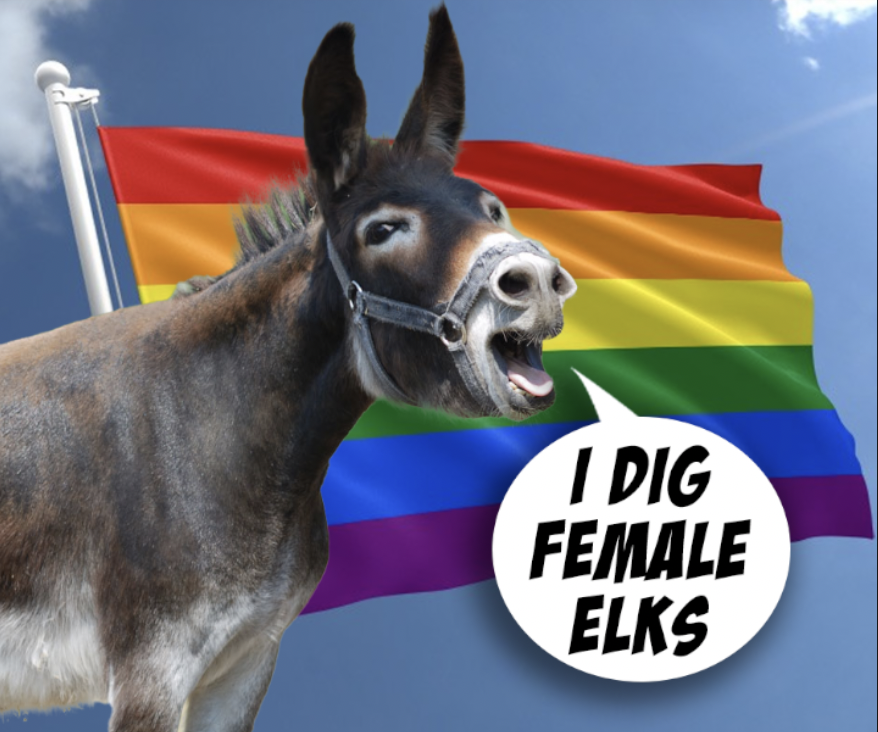 Pride Month Hysteria Runs Wild