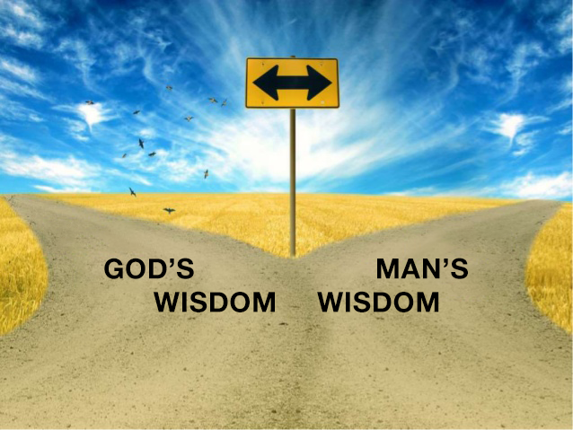 Godly Wisdom Trumps Earthly Intelligence