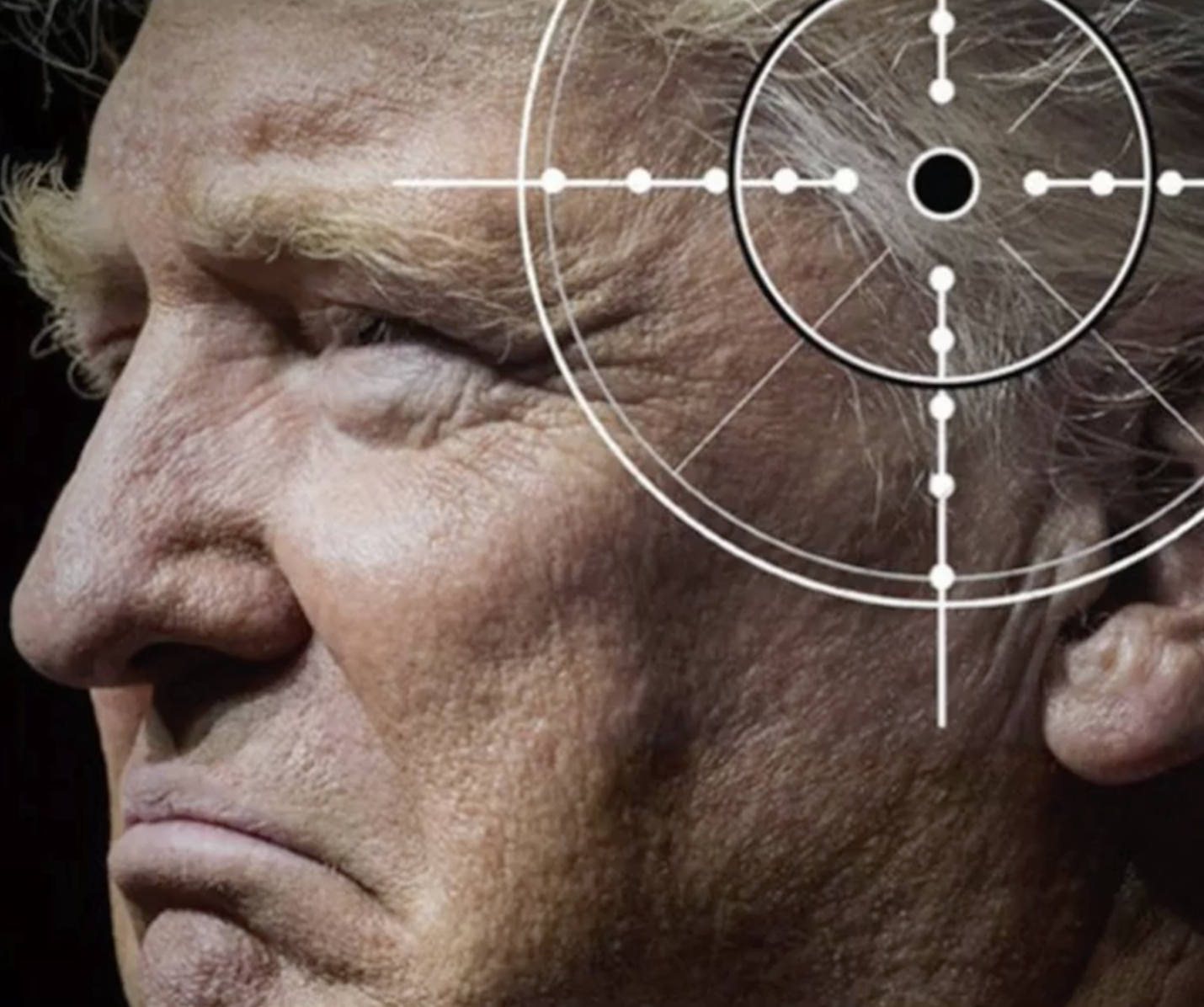 Donald Trump Character Assassination