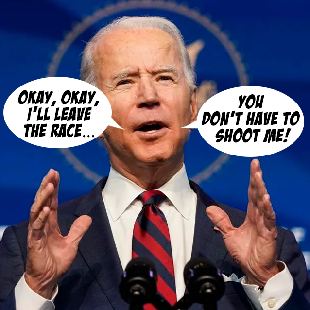 What The Dems Really Wanted