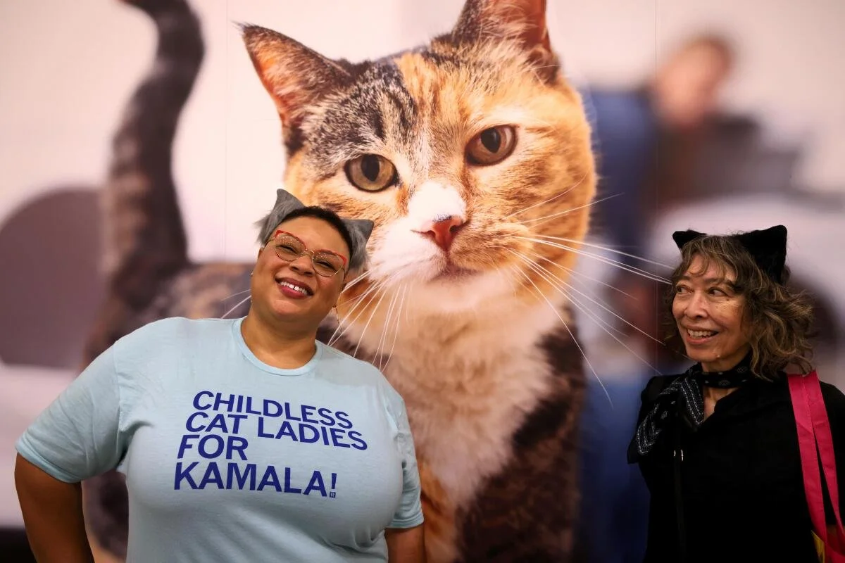Cats Dominating '24 Election News Cycle