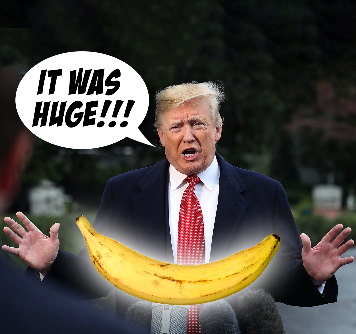 Trump Talks Private Parts