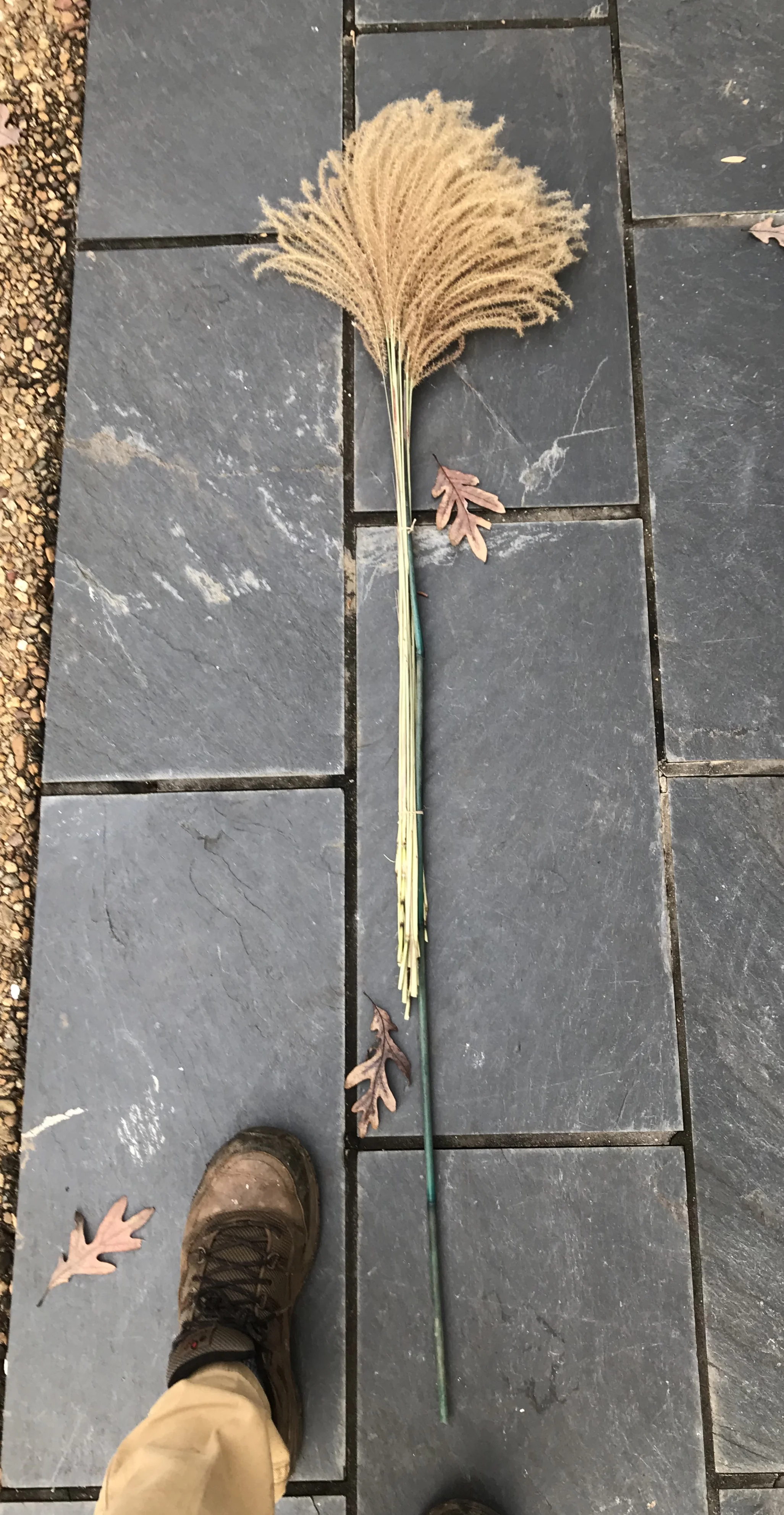 Harvest your grasses and stick a stake in them— perfect centerpiece!